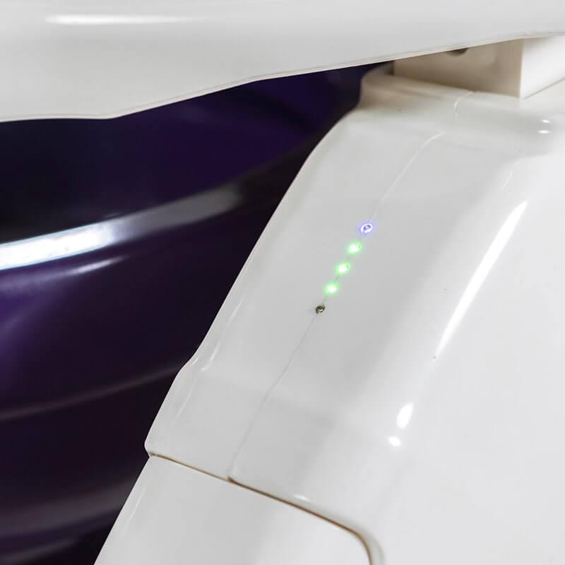 Dignity Lifts Deluxe Toilet Lift DL2 Battery Indicator Lights