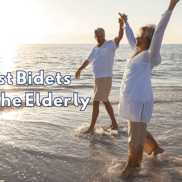 Elderly couple walking on beach.