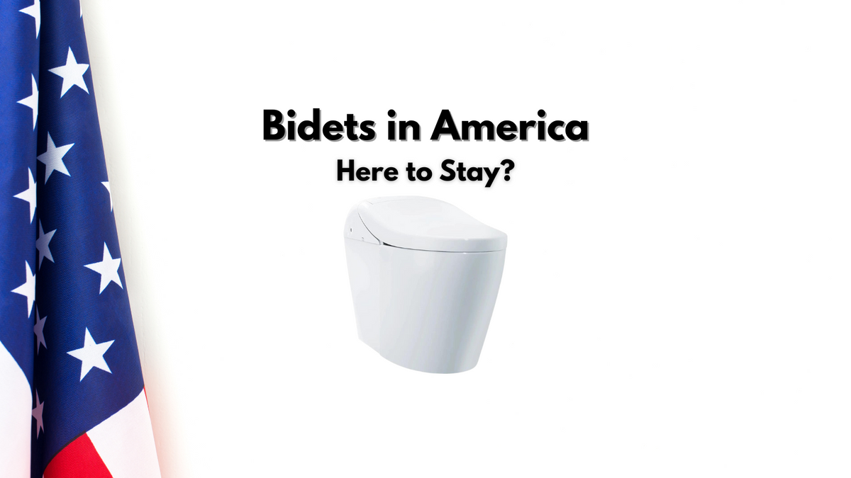 bidets in america: here to stay? blog image american flag with bidet toilet
