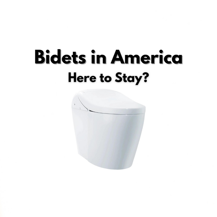 bidets in america: here to stay? blog image american flag with bidet toilet