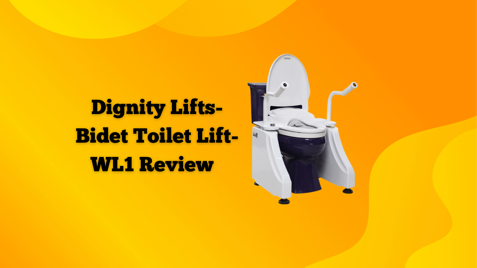 Dignity Lifts - Bidet Toilet Lift - WL1 Review 2024