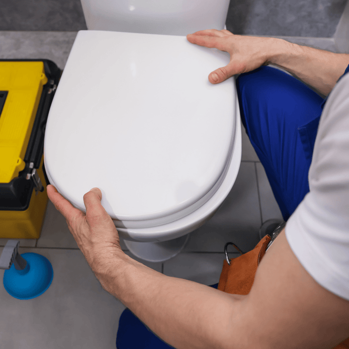 Plumber installing white toilet seat with yellow toolbox. 
