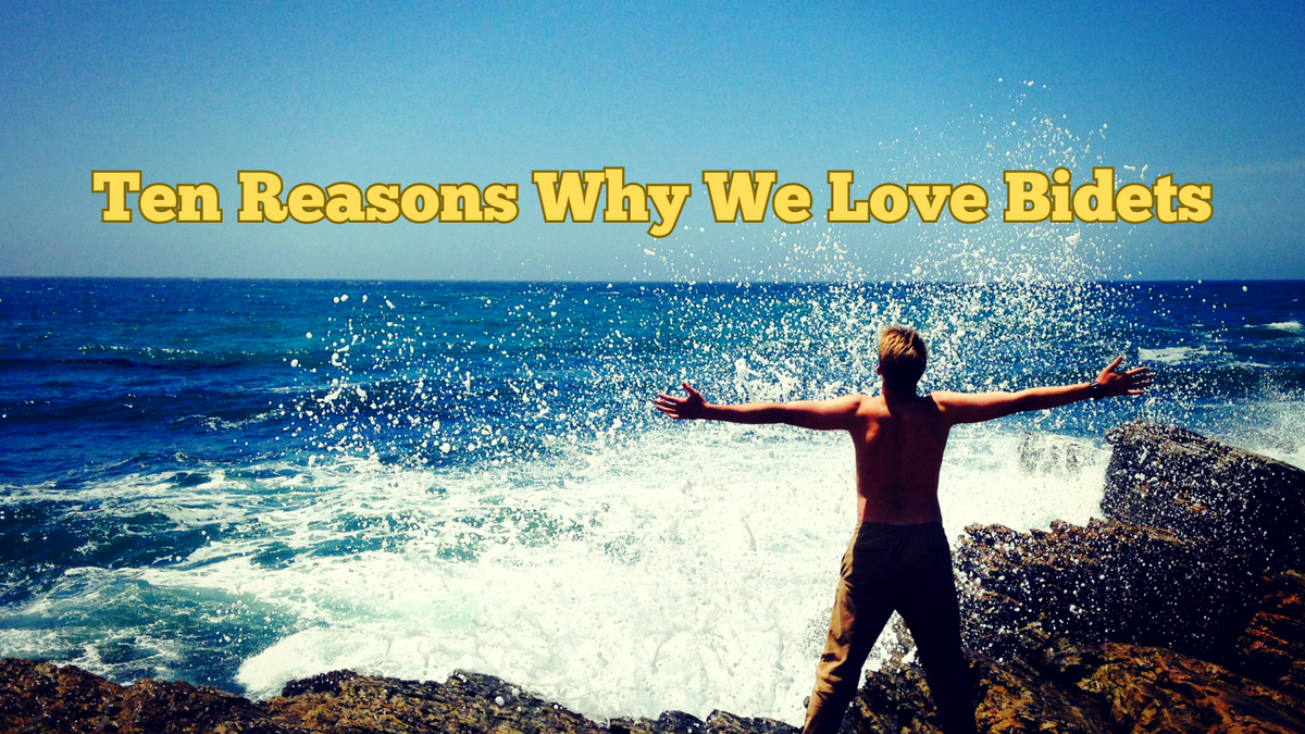 Ten Reasons Why We Love Bidets in 2026