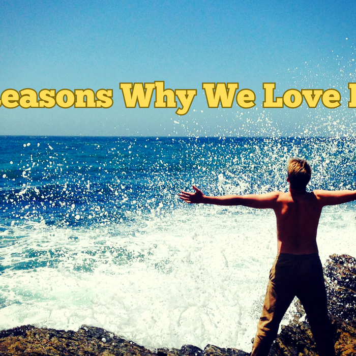 Ten Reasons Why We Love Bidets in 2026