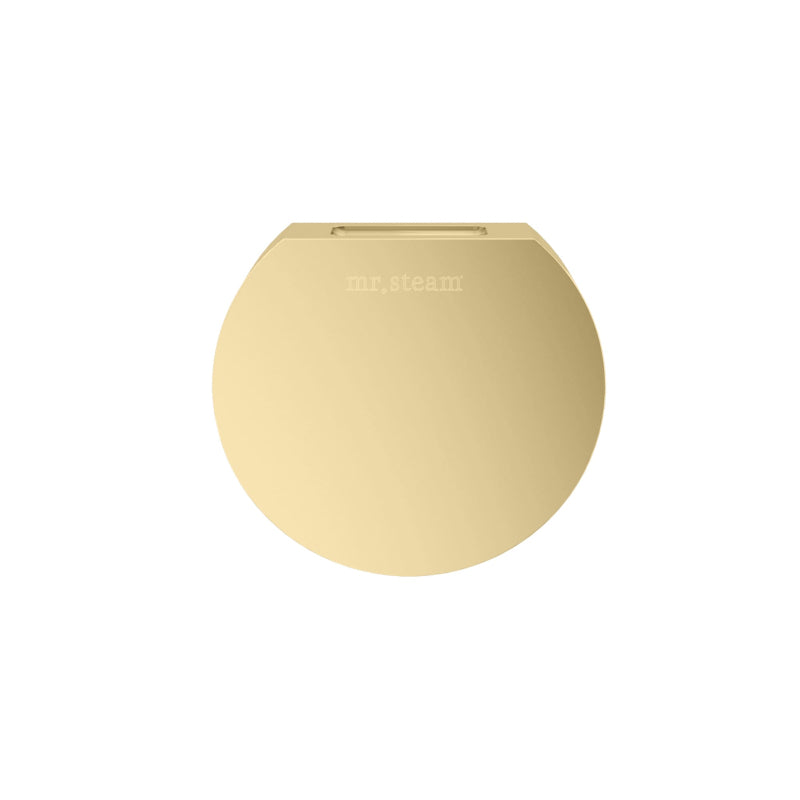 3 Inch Round Aroma Designer Steamhead with AromaTherapy Reservoir in Satin Brass