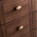 Amberly 60 Inch Single Vanity in Mid Century Walnut With Oval Shaped Knobs in Champagne Brass Finish