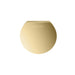 Aroma Designer Round Steamhead with AromaTherapy Reservoir in Polished Brass