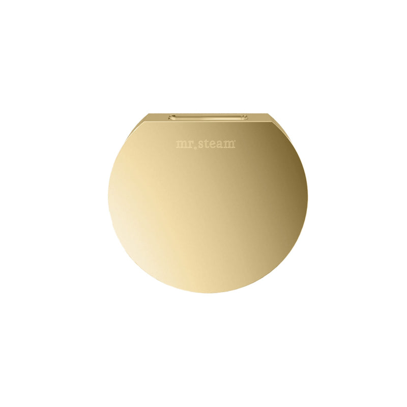 Aroma Designer Round Steamhead with AromaTherapy Reservoir in Polished Brass