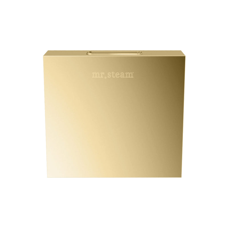 Aroma Designer Square Steamhead with AromaTherapy Reservoir in Polished Brass