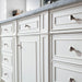 Bristol 60" Single Vanity Bright White Closed Drawers