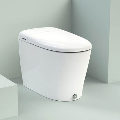Brondel Coit Integrated SMART Bidet Toilet Corner View Bathroom Set Up