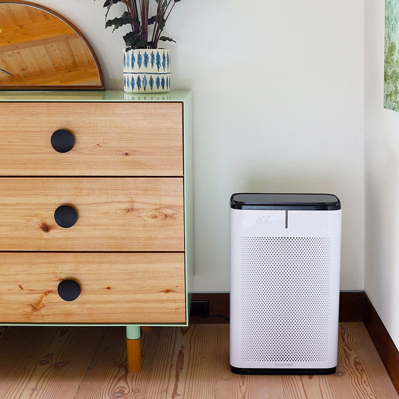 brondell pro sanitizing air purifier front view lifestyle