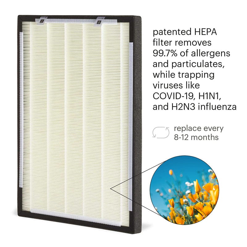 brondell pro sanitizing air purifier hepa filter