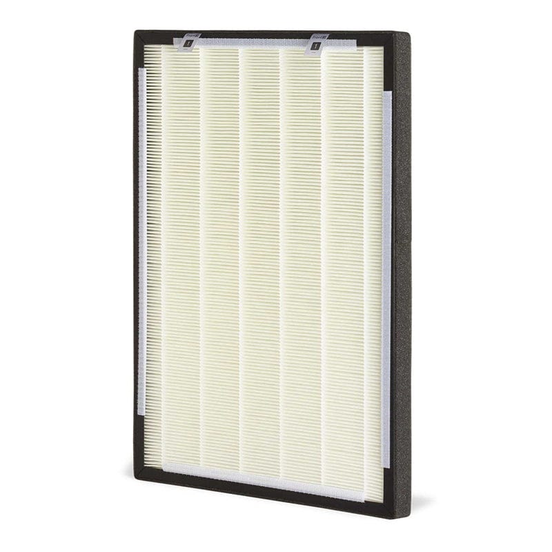 brondell pro sanitizing air purifier hepa replacement filter