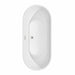 Brooklyn 67 Inch Freestanding Acrylic White Bathtub With Brushed Nickel Trim Top View