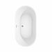 Carissa 60 Inch Freestanding Acrylic White Bathtub With Polished Chrome Trim and Matte Black Faucet Top View