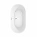 Carissa 60 Inch Freestanding Acrylic White Bathtub With Polished Chrome Trim No Faucet Top View