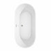Carissa 67 Inch Freestanding Acrylic White Bathtub With Brushed Nickel Trim Top View
