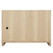Gracyn 48" Single Vanity in Coastal Driftwood Back View