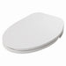 HOROW B0400 Bidet Toilet Seat Corner View Facing Left