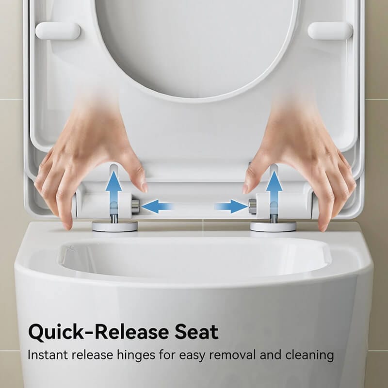 HOROW TG03W Wall Mounted Toilet With Release Seat