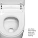 Integrated SMART Bidet Toilet Auto Rinsing Bowl