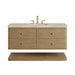 James Martin Allamari 48 Inch Single Vanity Dune Mist in Tajnar Eclos Top