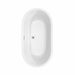 Juliette 60 Inch Freestanding Acrylic White Bathtub With Polished Chrome Trim and Brushed Gold Faucet Top View