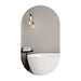 Lexi 20" x 36" oval LED mirror shown on a transparent background