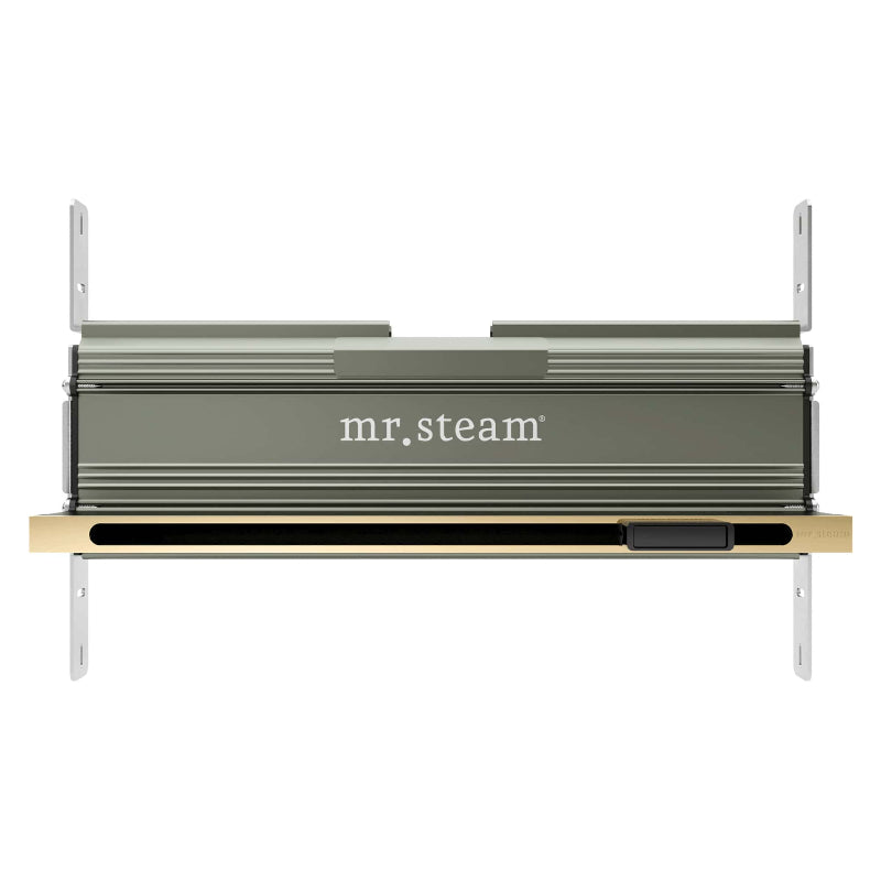 Linear 16" Steamhead with AromaTherapy Reservoir in Polished Brass