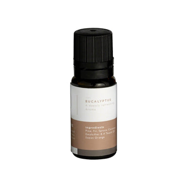Mr Steam Aromasteam System Essential Aroma Oil, 10 mL Bottle in Eucalyptus