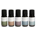 Mr Steam Aromasteam System Essential Aroma Oil 5-Pack, 10 mL Bottle Bundles