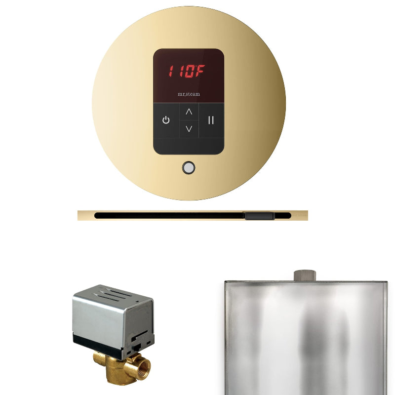 Mr Steam Basic Butler Steam Shower Control Package with Round iTempo Control and Linear Steamhead in Polished Brass