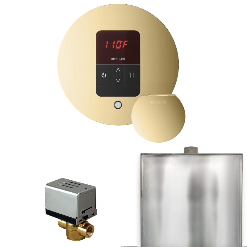 Mr Steam Basic Butler Steam Shower Control Package with Round iTempo Control and Steamhead in Polished Brass