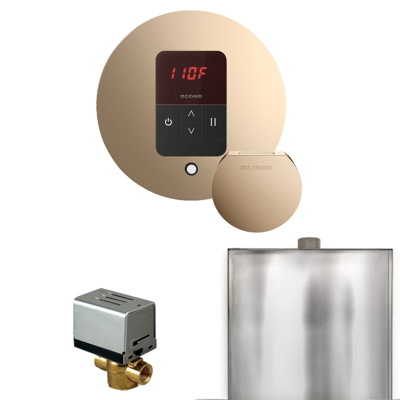 Mr Steam Basic Butler Steam Shower Control Package with Round iTempo Control and Steamhead in Polished Gold