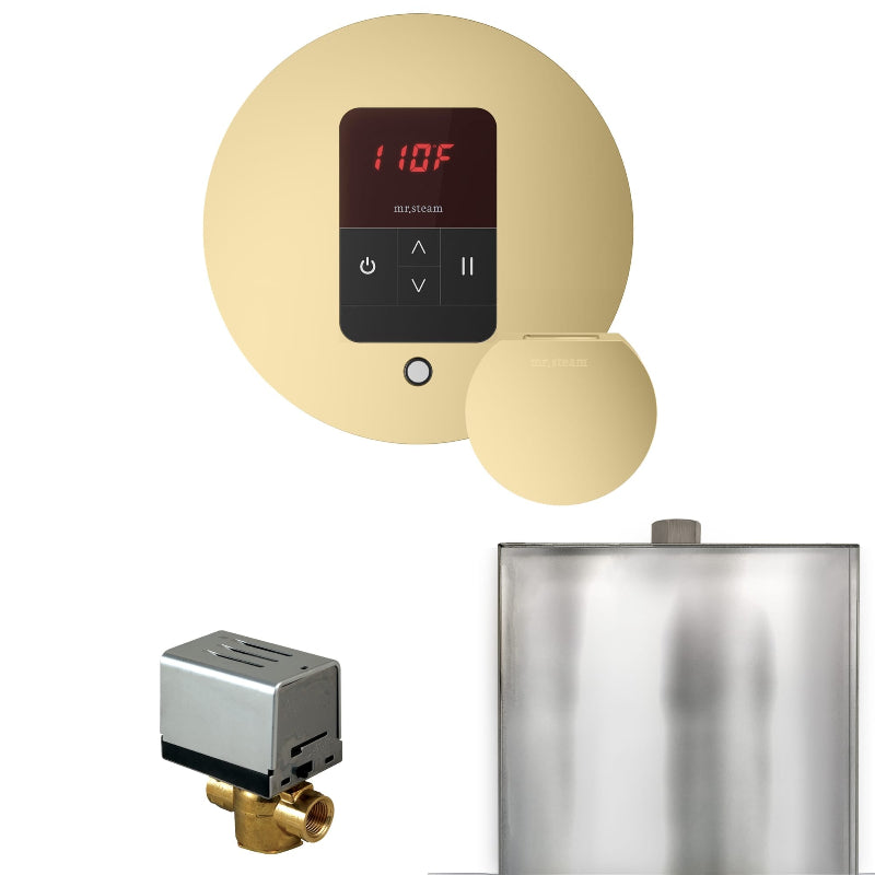 Mr Steam Basic Butler Steam Shower Control Package with Round iTempo Control and Steamhead in Satin Brass