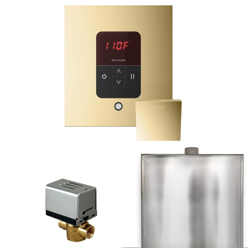 Mr Steam Basic Butler Steam Shower Control Package with Square iTempo Control and Steamhead in Polished Brass