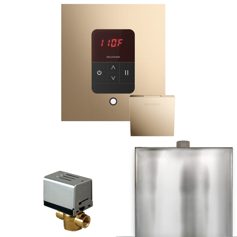Mr Steam Basic Butler Steam Shower Control Package with Square iTempo Control and Steamhead in Polished Gold