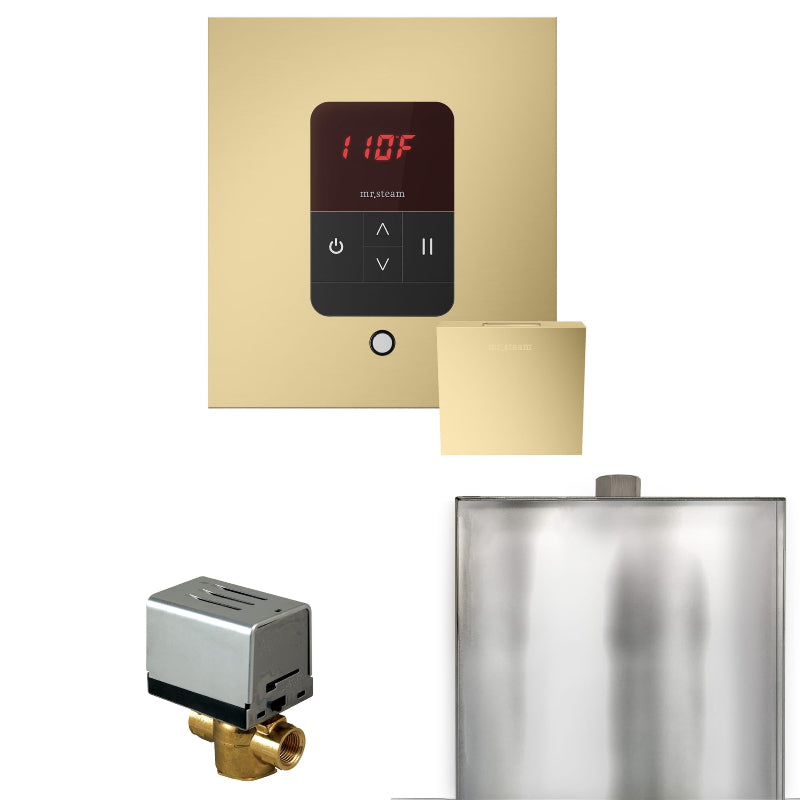 Mr Steam Basic Butler Steam Shower Control Package with Square iTempo Control and Steamhead in Satin Brass