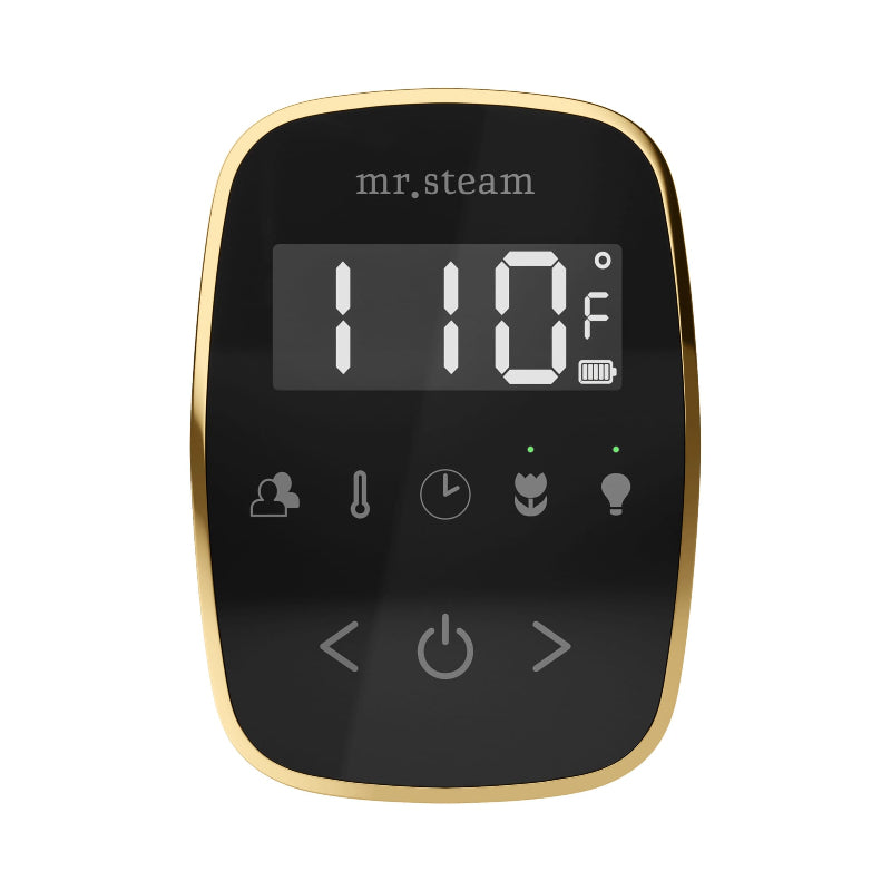 Mr Steam Black TempoFlex Steam Shower Control with Polished Brass Aroma Steamhead