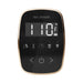 Mr Steam Black TempoFlex Steam Shower Control with Polished Gold Aroma Steamhead