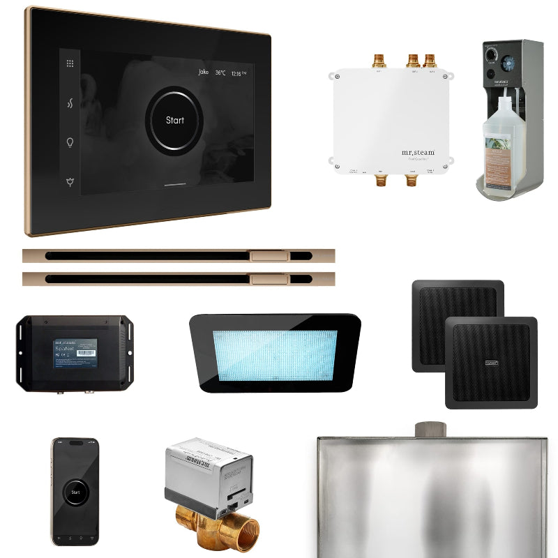 Mr Steam Bliss Max Steam Shower Control Package with iSteamX Control and Linear Steamhead in Black Polished Gold