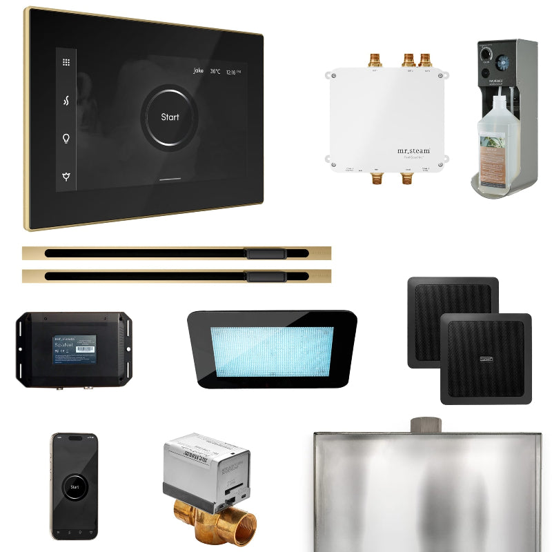 Mr Steam Bliss Max Steam Shower Control Package with iSteamX Control and Linear Steamhead in Black Satin Brass
