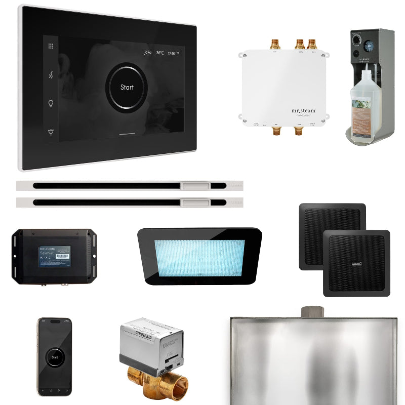 Mr Steam Bliss Max Steam Shower Control Package with iSteamX Control and Linear Steamhead in Black White Finish