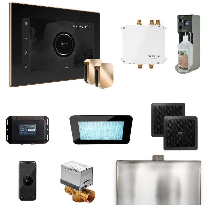 Mr Steam Bliss Max Steam Shower Control Package with iSteamX Control and Steamhead in Black Polished Gold
