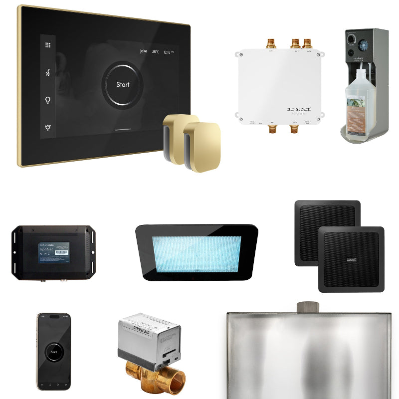 Mr Steam Bliss Max Steam Shower Control Package with iSteamX Control and Steamhead in Black Satin Brass