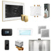 Mr Steam Bliss Max Steam Shower Control Package with iSteamX Control and Steamhead in White Polished Brass