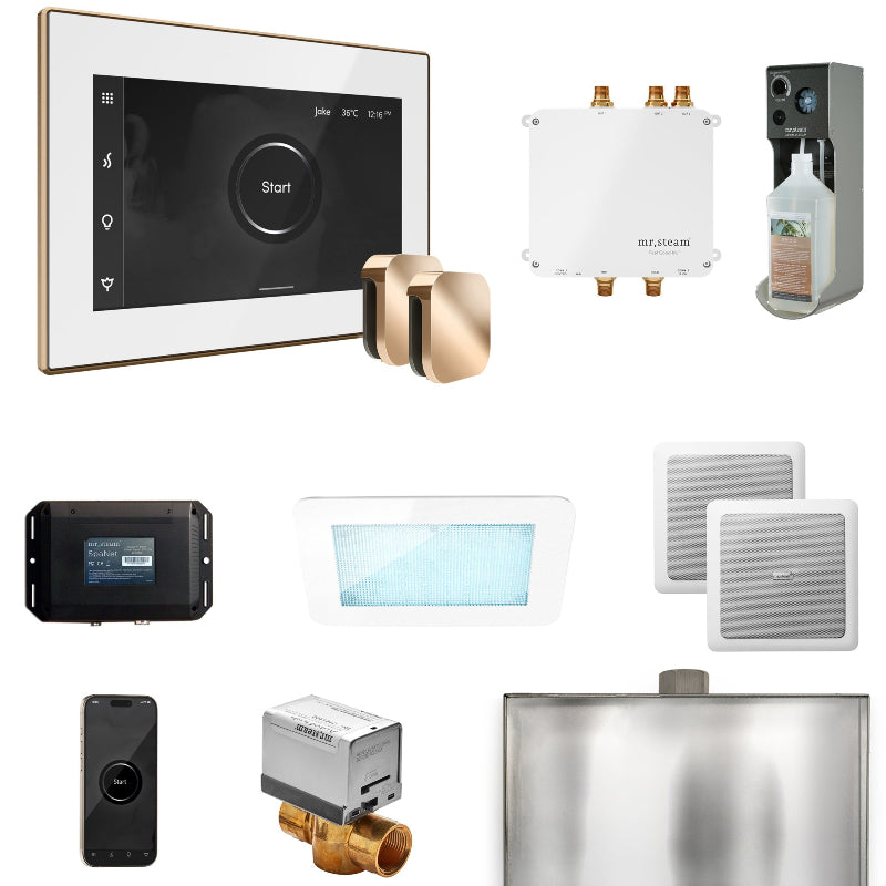 Mr Steam Bliss Max Steam Shower Control Package with iSteamX Control and Steamhead in White Polished Gold