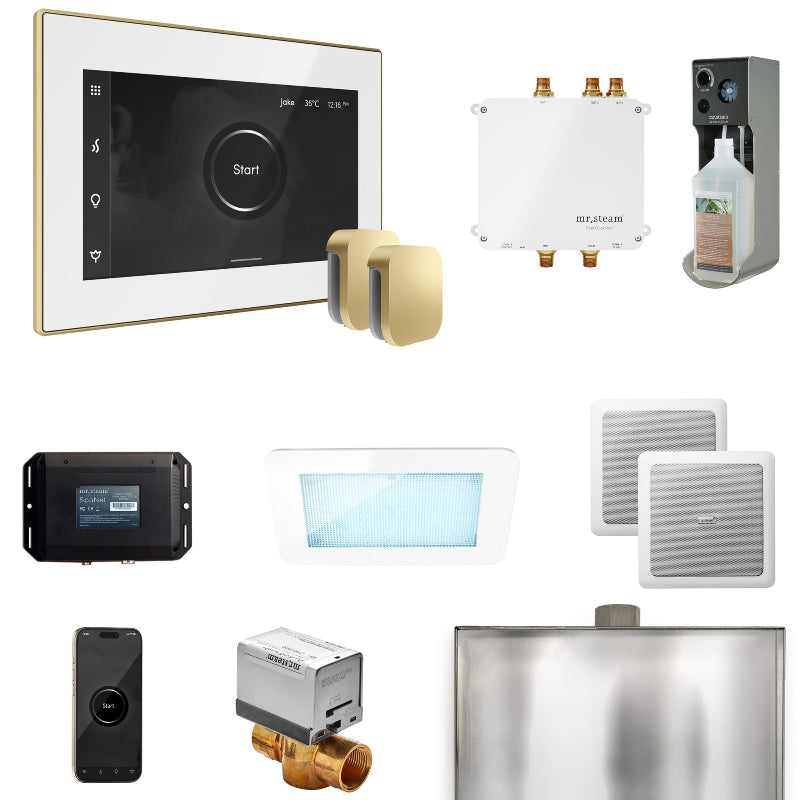 Mr Steam Bliss Max Steam Shower Control Package with iSteamX Control and Steamhead in White Satin Brass