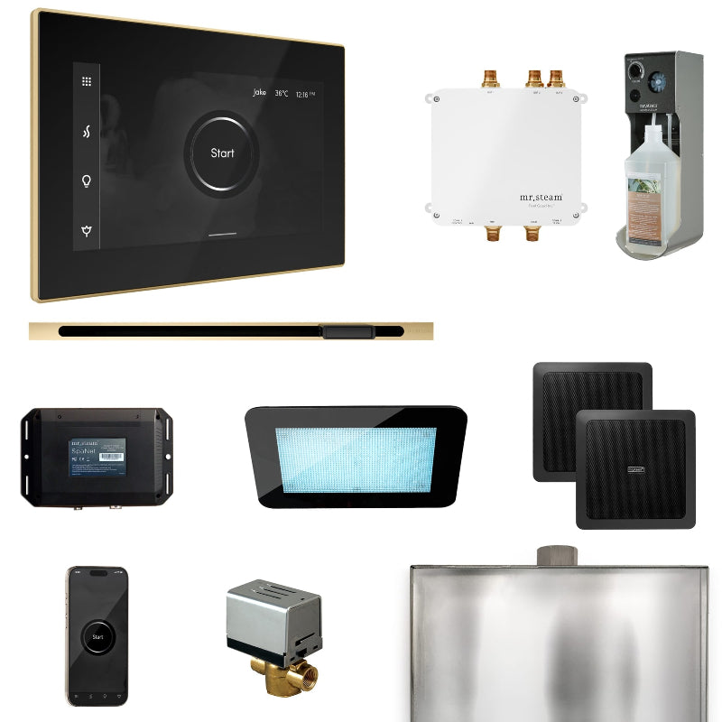Mr Steam Bliss Steam Shower Control Package with iSteamX Control and Linear Steamhead in Black Polished Brass